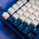 A photo of the Keychron Q1 with an artisan keycap